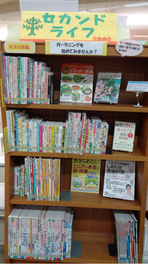 セカンドライフ